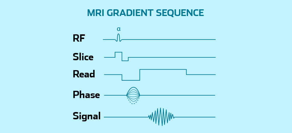 how to read mri images how to read mri images