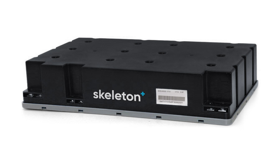 skeleton-skelmod-171V-s