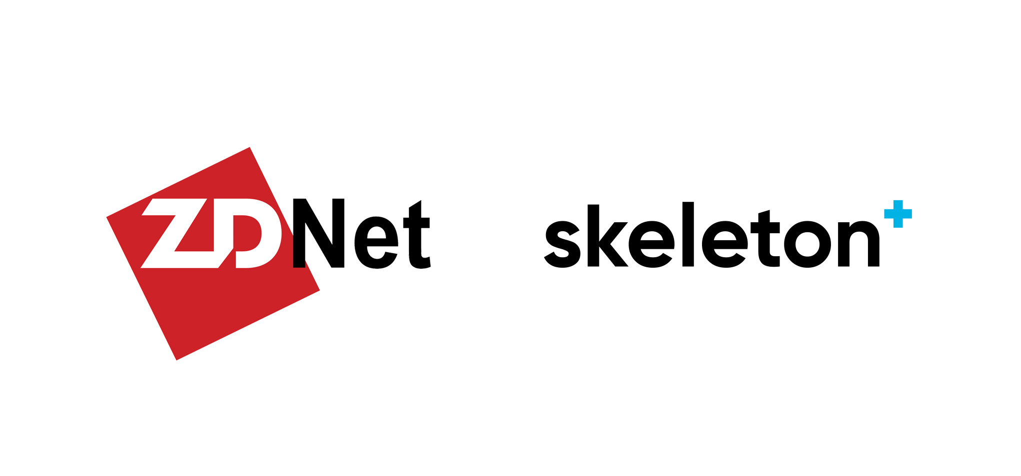 ZDNet Skeleton